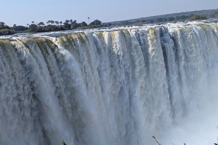 Victoria Falls Expert Guided Walk, Zimbabwe and Zambia Sides, Big Tree Stop (7/12)
