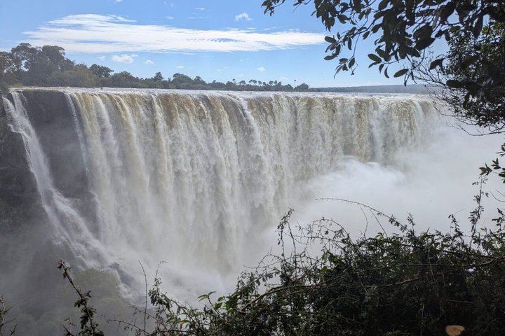 Victoria Falls Expert Guided Walk, Zimbabwe and Zambia Sides, Big Tree Stop (10/12)