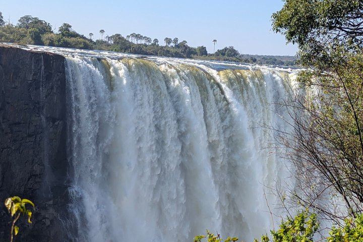 Victoria Falls Expert Guided Walk, Zimbabwe and Zambia Sides, Big Tree Stop (8/12)