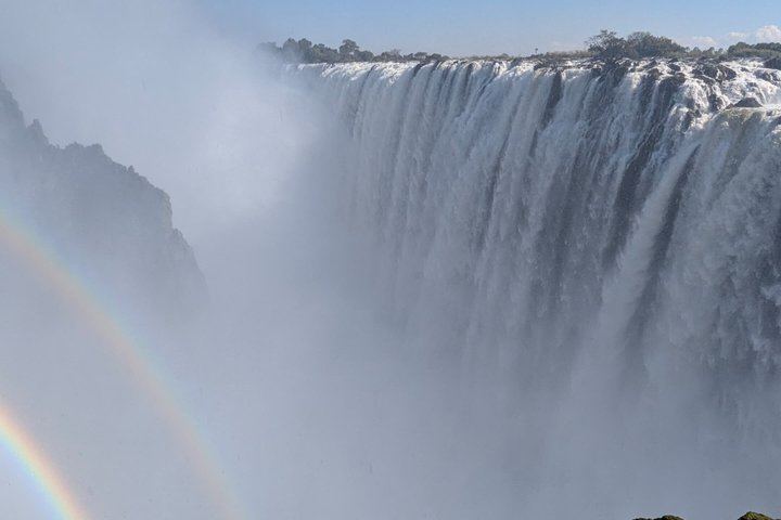 Victoria Falls Expert Guided Walk, Zimbabwe and Zambia Sides, Big Tree Stop (4/12)