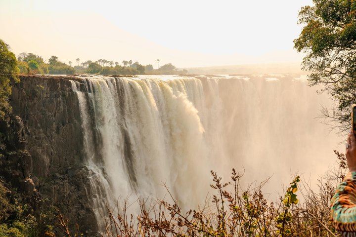 Victoria Falls Expert Guided Walk, Zimbabwe and Zambia Sides, Big Tree Stop (9/12)