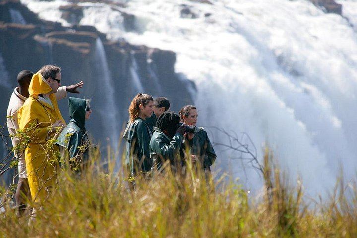 Victoria Falls Guided Tour from Livingstone with Bottled Water and Rainforest Views (6/9)
