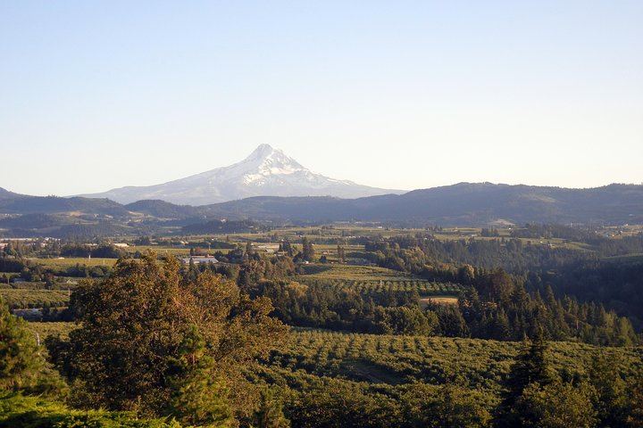 Columbia Gorge Waterfalls, Hood River and Timberline Lodge Day Tour, Portland (6/8)