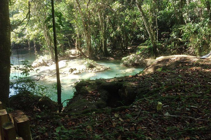 Private Appleton Estate Rum Tour and YS Falls Zipline Day from Montego Bay, Seven Hours (12/12)