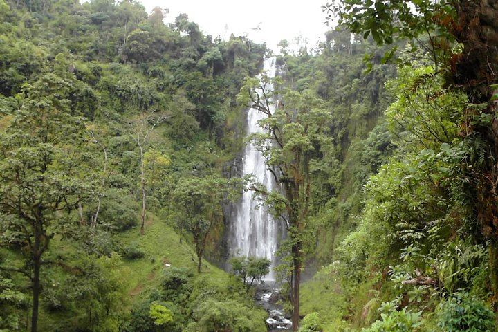 Materuni Waterfalls Swim and Chagga Coffee Half-Day Walk from Moshi Hotels (8/12)