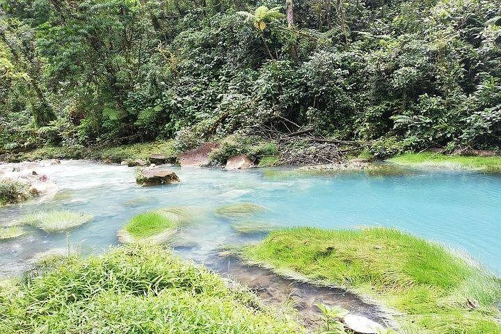 Rio Celeste Waterfall, Sloth Spotting and Scarlet Macaws from Guanacaste (12/12)