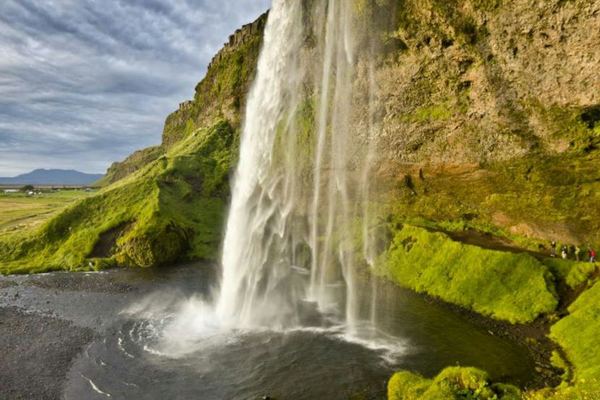 Guided South Iceland Day Trip from BSÍ Terminal: Skógafoss, Vík and Black Sand Beach
