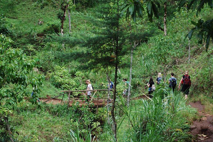 Materuni Waterfall and Organic Arabica Coffee Day Trip from Moshi (6/8)