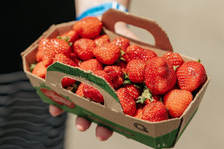 VIP Île d'Orléans Food Tour with Lunch, Local Producers and Montmorency Falls Stop (10/12)