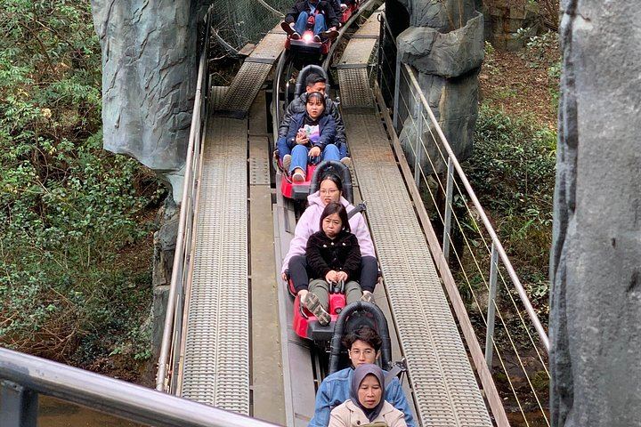 VIP Dalat Waterfalls and Coffee Day: Datanla, Pongour, Elephant Falls, Crazy House (12/12)