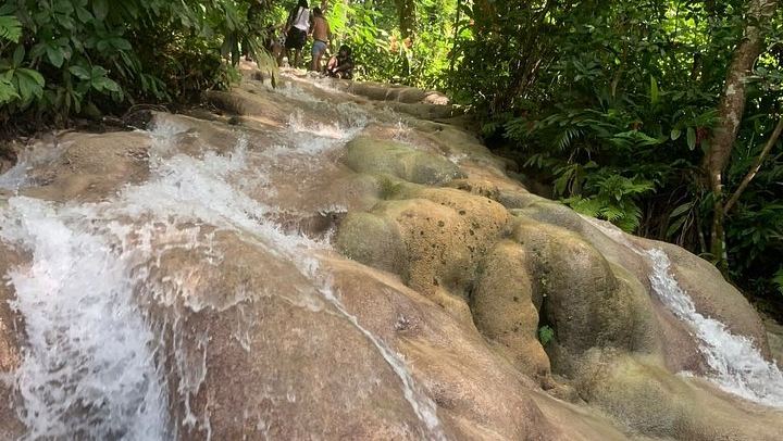 VIP Private Dunn's River Falls Tour with Round-Trip Transport, Ocho Rios (2/12)