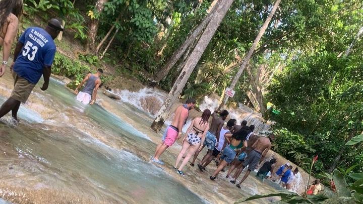 VIP Private Dunn's River Falls Tour with Round-Trip Transport, Ocho Rios (1/12)