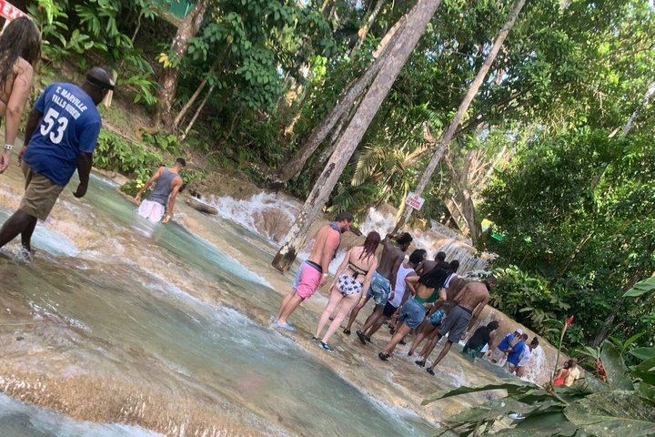 VIP Private Dunn's River Falls Tour with Round-Trip Transport, Ocho Rios (1/12)
