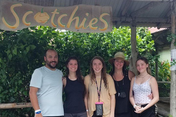 VIP Private Dunn's River Falls Tour with Round-Trip Transport, Ocho Rios (10/12)