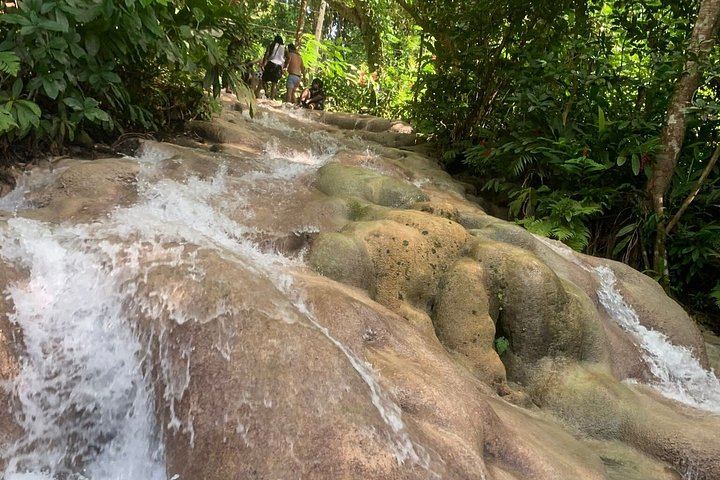 VIP Private Dunn's River Falls Tour with Round-Trip Transport, Ocho Rios (2/12)