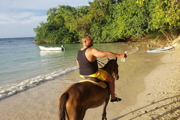 VIP Private Dunn's River Falls Tour with Round-Trip Transport, Ocho Rios (6/12)