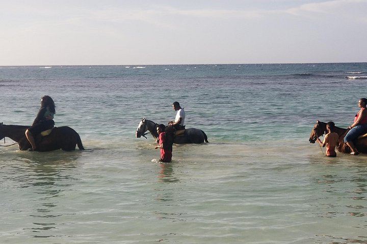 VIP Private Dunn's River Falls Tour with Round-Trip Transport, Ocho Rios (8/12)