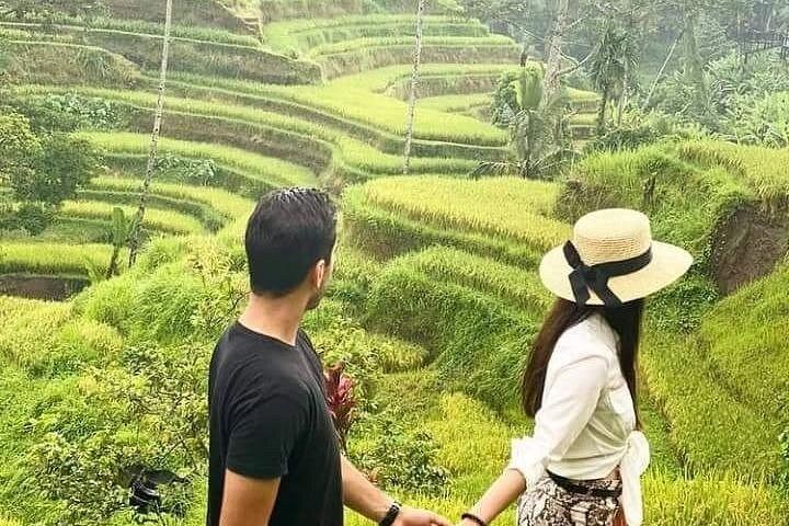 Beji Griya Holy Waterfall Healing Tour With Ceremony Dress and Rice Terrace Lunch (8/10)