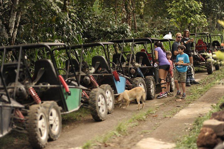 Haunted Valley Waterfall Tour by Finn Komodo Buggy and Mountain Bike, Munduk (3/8)