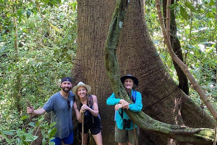 Private Hacienda Ebano Waterfalls Tour with Big Mango Lookout and Short or Medium Hike (10/12)