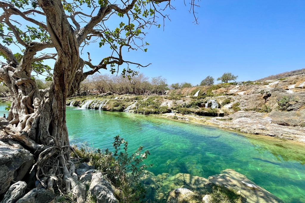 Turquoise lake with small falls and a tree on the shore at Wadi Darbat near Salalah, Oman