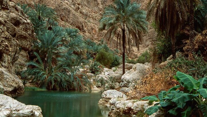 Wadi Shab and Bimmah Sinkhole Group Day Trip from Muscat with Lunch (2/12)