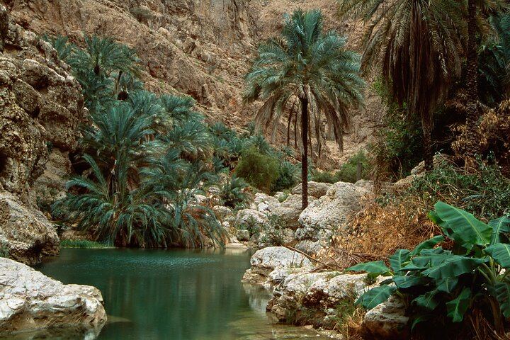 Wadi Shab and Bimmah Sinkhole Group Day Trip from Muscat with Lunch (2/12)