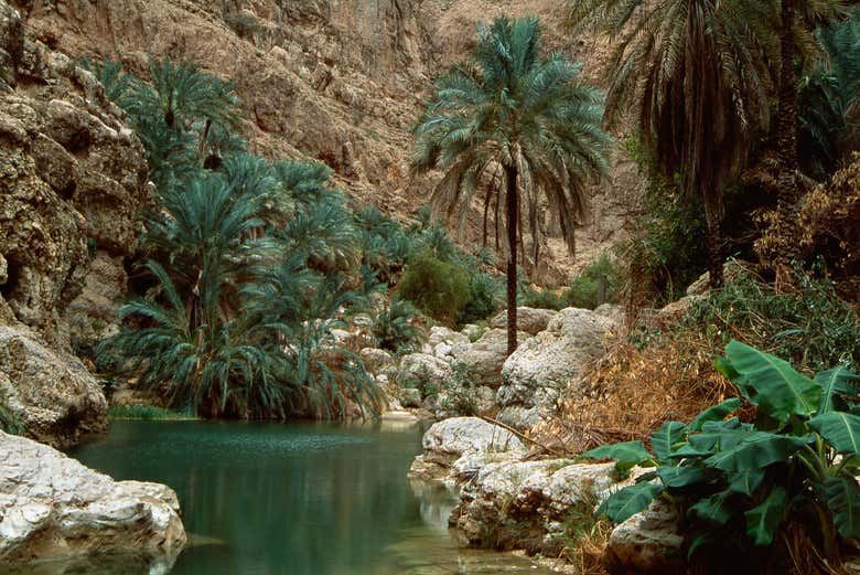 Wadi Shab Day Tour from Muscat with 3 Hours Free Time and Wadi Shab Resort Meal (3/3)