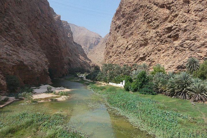 Wadi Shab Expedition from Muscat with Local Lunch, Guiding in Six Languages, Up to 12 (11/12)