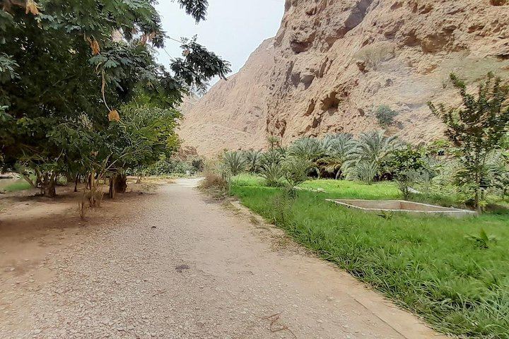 Wadi Shab Expedition from Muscat with Local Lunch, Guiding in Six Languages, Up to 12 (6/12)