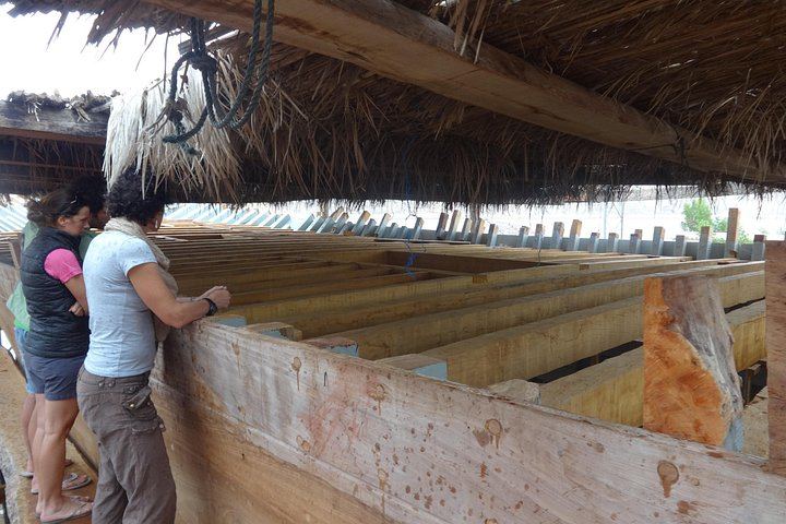 Private Wadi Shab and Wadi Tiwi Day with Qalhat and Sur Dhow Yard, Lunch and Ferry (11/12)