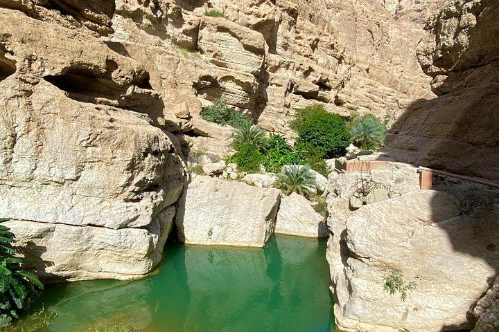 Private Wadi Shab Day Trip with Ras Al Shajer Coastal Drive, Gazelles and Omani Lunch (5/12)