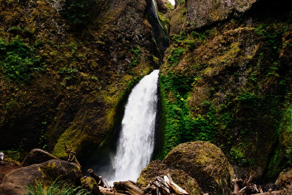 Wahclella Falls dropping into a narrow mossy gorge in the Columbia River Gorge, Oregon