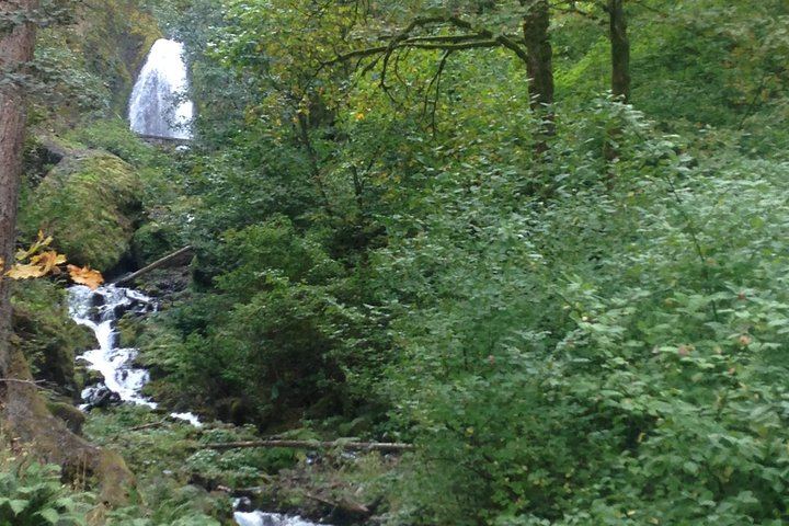 Full-Day Portland City and Columbia Gorge Waterfalls Sightseeing Tour (6/12)