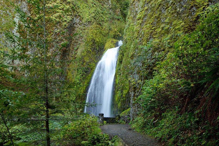 Private Multnomah Falls and Columbia Gorge Tour with Lunch Stop at the Lodge (5/12)