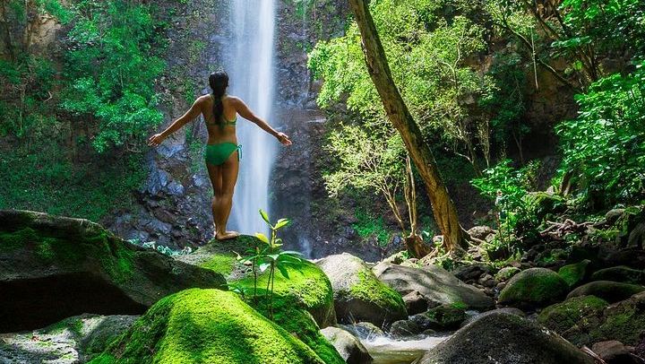 Wailua River Kayak and Waterfall Hike with Deli Lunch from the Kayak Kauai Marina Store (1/5)