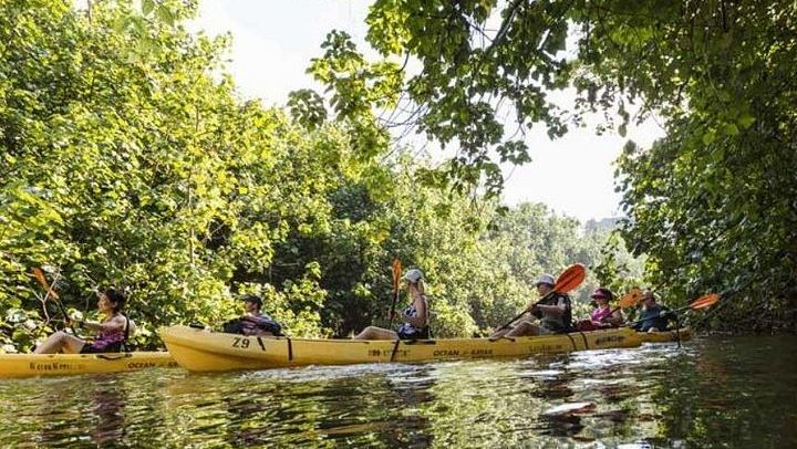 Wailua River Kayak and Waterfall Hike with Deli Lunch from the Kayak Kauai Marina Store (2/5)