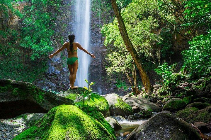 Wailua River Kayak and Waterfall Hike with Deli Lunch from the Kayak Kauai Marina Store (1/5)