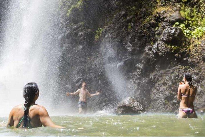 Wailua River Kayak and Waterfall Hike with Deli Lunch from the Kayak Kauai Marina Store (4/5)