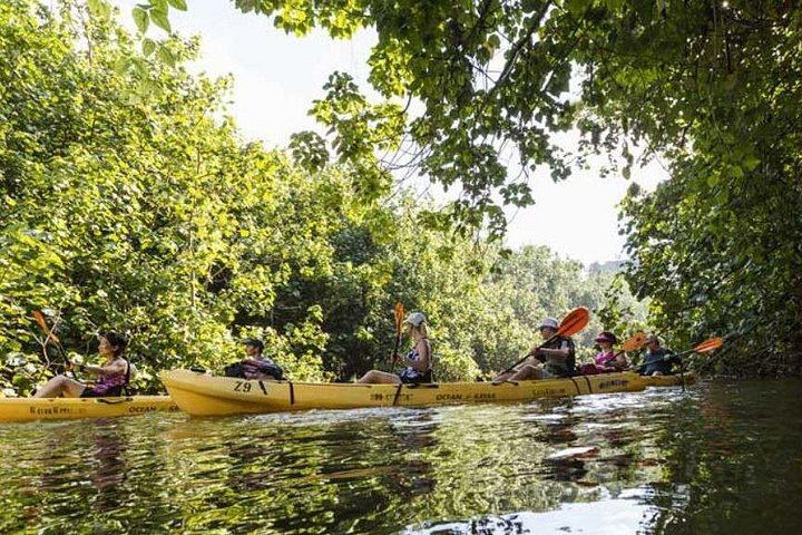 Wailua River Kayak and Waterfall Hike with Deli Lunch from the Kayak Kauai Marina Store (2/5)