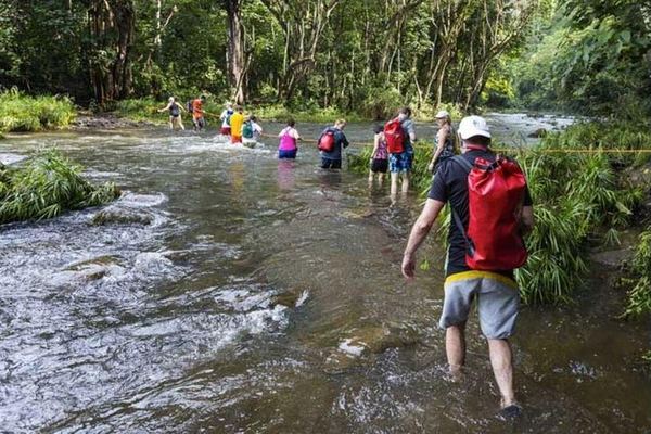Wailua River Kayak and Waterfall Hike with Deli Lunch from the Kayak Kauai Marina Store