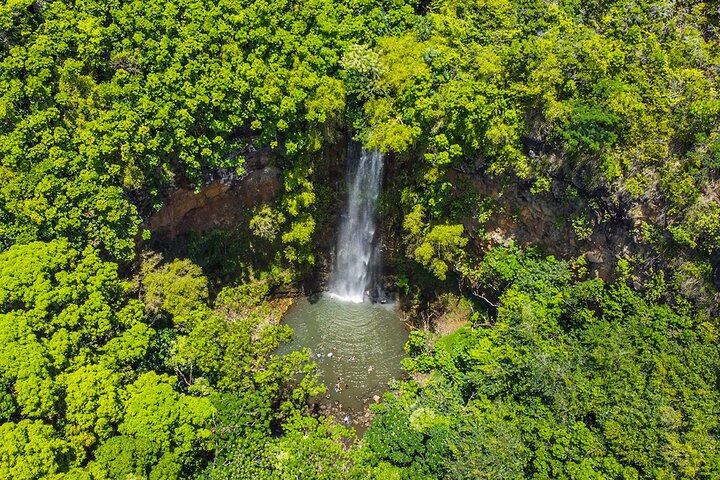 Wailua River Kayak and Secret Falls Hike: Morning Departure, Marina Shuttle, Snacks (6/12)