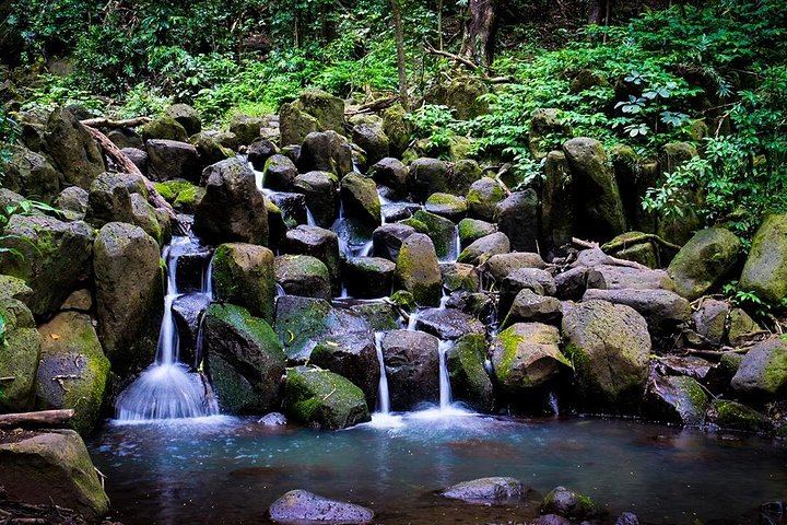 Wailua River Kayak and Secret Falls Hike: Morning Departure, Marina Shuttle, Snacks (12/12)