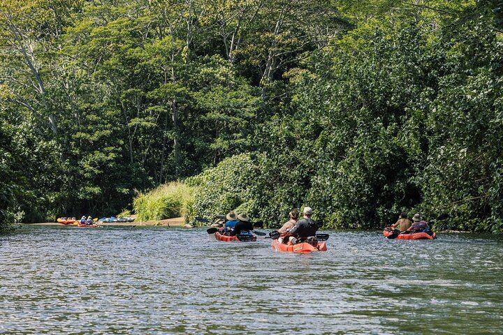 Outfitters Kauai Wailua River Kayak and Uluwehi Falls Hike with Picnic Lunch, Small Group (1/7)