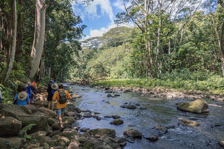 Outfitters Kauai Wailua River Kayak and Uluwehi Falls Hike with Picnic Lunch, Small Group (6/7)