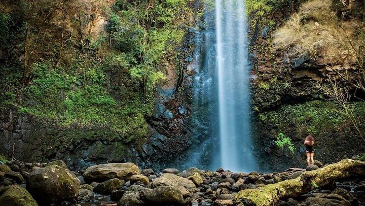Rainbow Kayak Tours Wailua River Kayak and Secret Falls Hike with Lunch at the Falls (1/11)