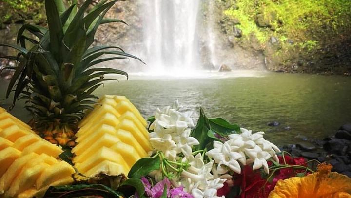 Rainbow Kayak Tours Wailua River Kayak and Secret Falls Hike with Lunch at the Falls (3/11)