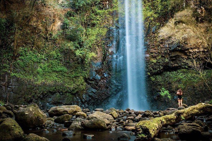 Rainbow Kayak Tours Wailua River Kayak and Secret Falls Hike with Lunch at the Falls (1/11)