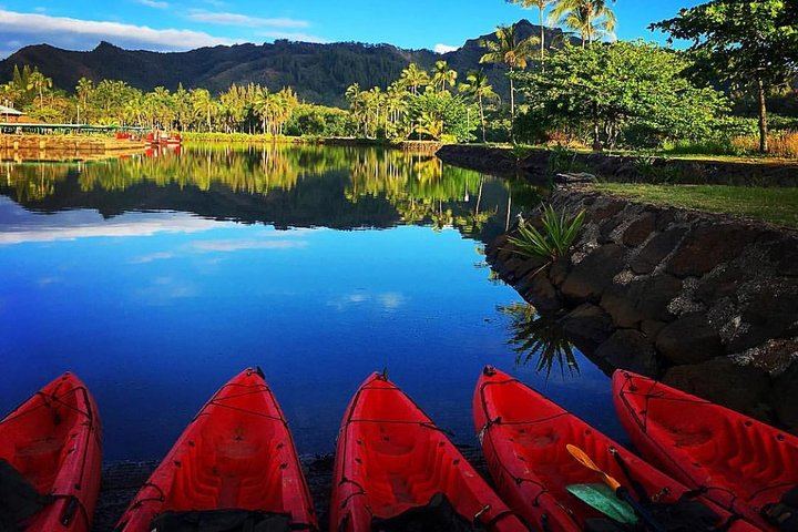 Rainbow Kayak Tours Wailua River Kayak and Secret Falls Hike with Lunch at the Falls (7/11)