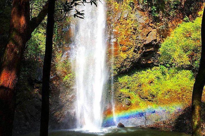 Rainbow Kayak Tours Wailua River Kayak and Secret Falls Hike with Lunch at the Falls (6/11)